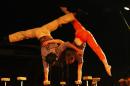 le chant du dindon 014 * 4272 x 2848 * (7.77MB)